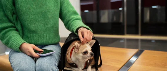 woman-carrying-her-pet-subway